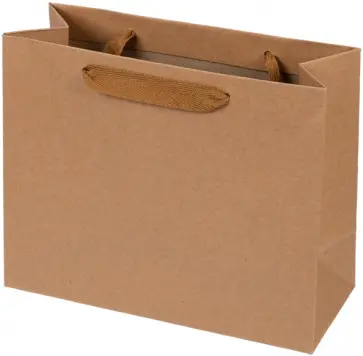 Пакет подарочный крафт обложка книги