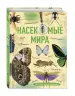Миниатюра 2