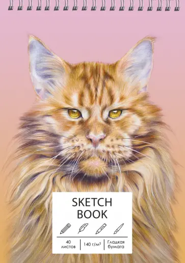 Скетчбук Мейн-кун, 40 листов Скетчбук Мейн-кун, 40 листов обложка книги
