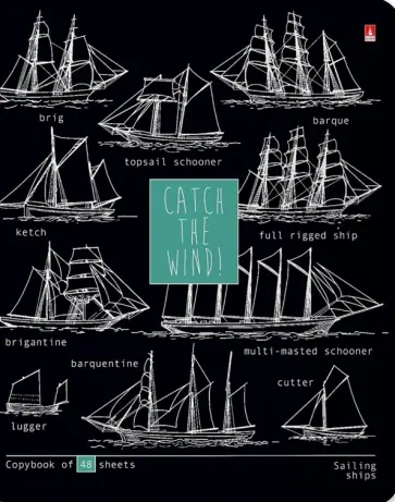 Тетрадь Blueprint, А5, 48 листов, клетка, в ассортименте обложка книги