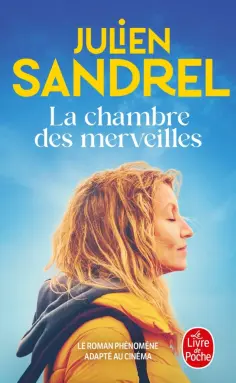 Julien Sandrel - La Chambre des merveilles Julien Sandrel - La Chambre des merveilles обложка книги