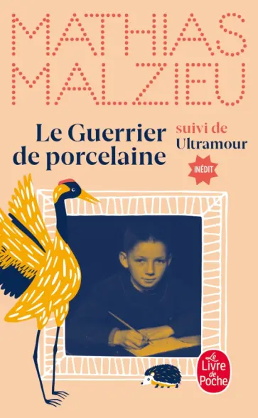 Mathias Malzieu - Le Guerrier de porcelaine обложка книги