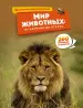 Миниатюра 1