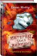 Миниатюра 2